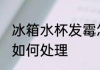 冰箱水杯发霉怎么处理 冰箱水杯发霉如何处理