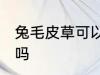 兔毛皮草可以水洗吗 兔毛皮草能水洗吗
