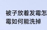 被子放着发霉怎么能洗掉 被子放着发霉如何能洗掉
