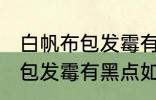 白帆布包发霉有黑点怎么洗掉 白帆布包发霉有黑点如何清洗