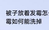 被子放着发霉怎么能洗掉 被子放着发霉如何能洗掉