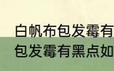 白帆布包发霉有黑点怎么洗掉 白帆布包发霉有黑点如何清洗
