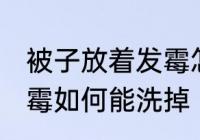 被子放着发霉怎么能洗掉 被子放着发霉如何能洗掉