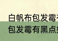 白帆布包发霉有黑点怎么洗掉 白帆布包发霉有黑点如何清洗