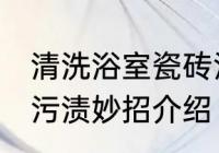 清洗浴室瓷砖污渍妙招 清洗浴室瓷砖污渍妙招介绍