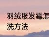 羽绒服发霉怎么洗掉 羽绒服发霉的清洗方法