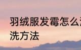 羽绒服发霉怎么洗掉 羽绒服发霉的清洗方法