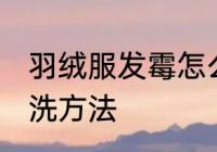 羽绒服发霉怎么洗掉 羽绒服发霉的清洗方法