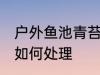 户外鱼池青苔怎么处理 户外鱼池青苔如何处理