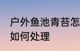 户外鱼池青苔怎么处理 户外鱼池青苔如何处理