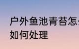 户外鱼池青苔怎么处理 户外鱼池青苔如何处理