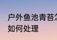 户外鱼池青苔怎么处理 户外鱼池青苔如何处理