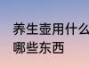 养生壶用什么煲汤最好 养生壶可以煮哪些东西