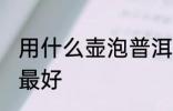 用什么壶泡普洱最好 用哪些壶泡普洱最好