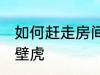 如何赶走房间的壁虎 怎么赶走房间的壁虎