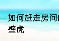 如何赶走房间的壁虎 怎么赶走房间的壁虎