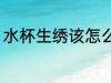 水杯生绣该怎么办 水杯生绣解决方法