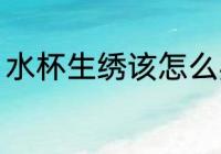 水杯生绣该怎么办 水杯生绣解决方法