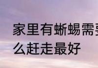 家里有蜥蜴需要赶走吗 家里有蜥蜴怎么赶走最好
