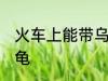 火车上能带乌龟吗 火车上是否能带乌龟