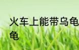 火车上能带乌龟吗 火车上是否能带乌龟
