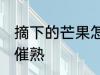 摘下的芒果怎么催熟 摘下的芒果如何催熟