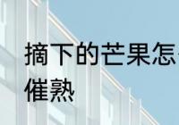 摘下的芒果怎么催熟 摘下的芒果如何催熟