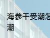 海参干受潮怎么办 如何解决海参干受潮
