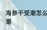 海参干受潮怎么办 如何解决海参干受潮