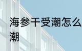海参干受潮怎么办 如何解决海参干受潮