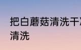 把白蘑菇清洗干净的方法 白蘑菇如何清洗