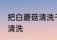 把白蘑菇清洗干净的方法 白蘑菇如何清洗