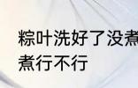 粽叶洗好了没煮可以吗 粽叶洗好了没煮行不行