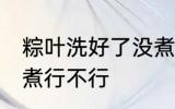 粽叶洗好了没煮可以吗 粽叶洗好了没煮行不行