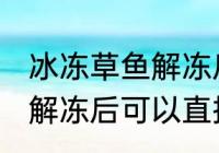 冰冻草鱼解冻后能直接吃吗 冰冻草鱼解冻后可以直接吃吗