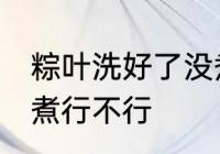 粽叶洗好了没煮可以吗 粽叶洗好了没煮行不行