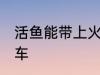 活鱼能带上火车吗 活鱼能不能带上火车