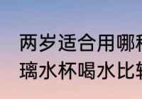 两岁适合用哪种水杯 两岁的宝宝用玻璃水杯喝水比较好对吗