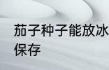 茄子种子能放冰箱里保存吗 茄子如何保存