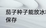 茄子种子能放冰箱里保存吗 茄子如何保存