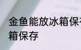 金鱼能放冰箱保存吗 金鱼能否能放冰箱保存