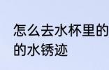 怎么去水杯里的水锈迹 如何去水杯里的水锈迹