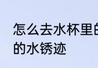 怎么去水杯里的水锈迹 如何去水杯里的水锈迹