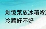 剩饭菜放冰箱冷藏好吗 剩饭菜放冰箱冷藏好不好