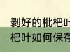 剥好的枇杷叶怎么保存过夜 剥好的枇杷叶如何保存过夜