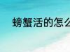 螃蟹活的怎么洗 螃蟹活的如何洗