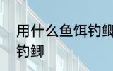 用什么鱼饵钓鲫?鱼最好 用哪些鱼饵钓鲫