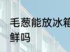 毛葱能放冰箱保鲜吗 葱可以放冰箱保鲜吗