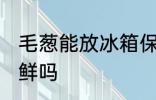 毛葱能放冰箱保鲜吗 葱可以放冰箱保鲜吗