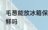 毛葱能放冰箱保鲜吗 葱可以放冰箱保鲜吗
